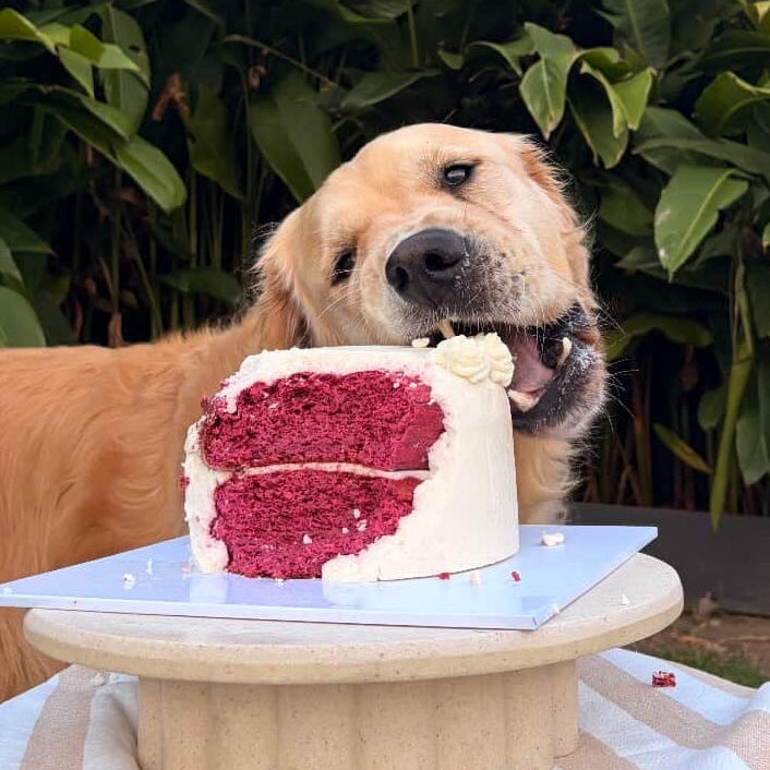 Gender Reveal Cake