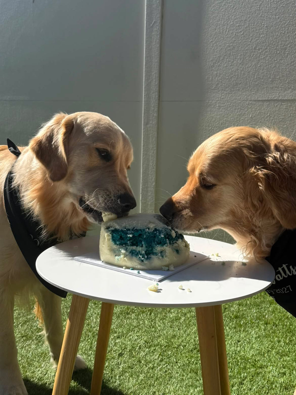 Gender Reveal Cake