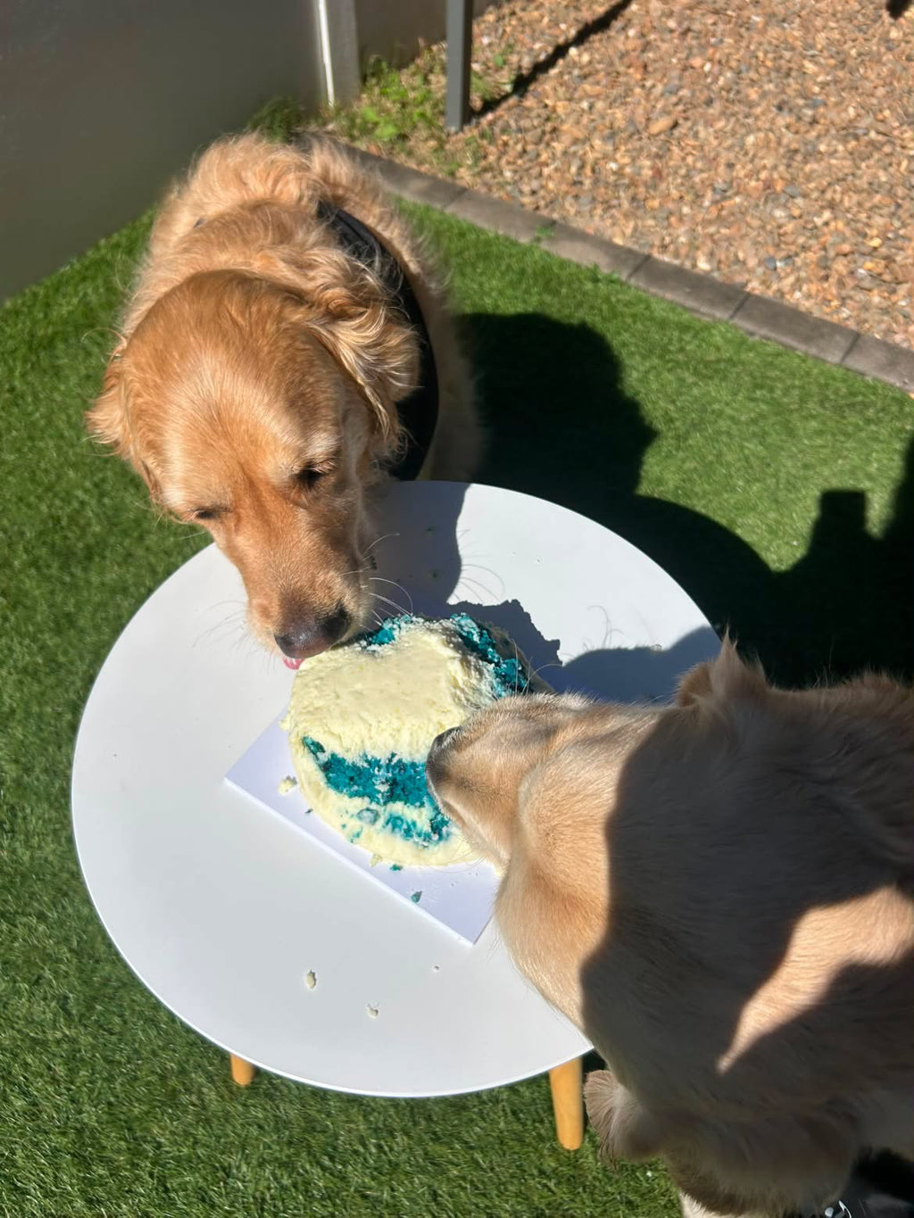 Gender Reveal Cake