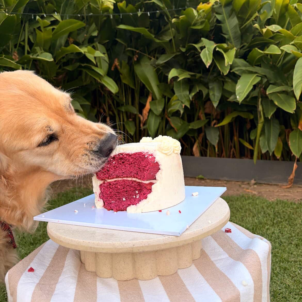 Gender Reveal Cake