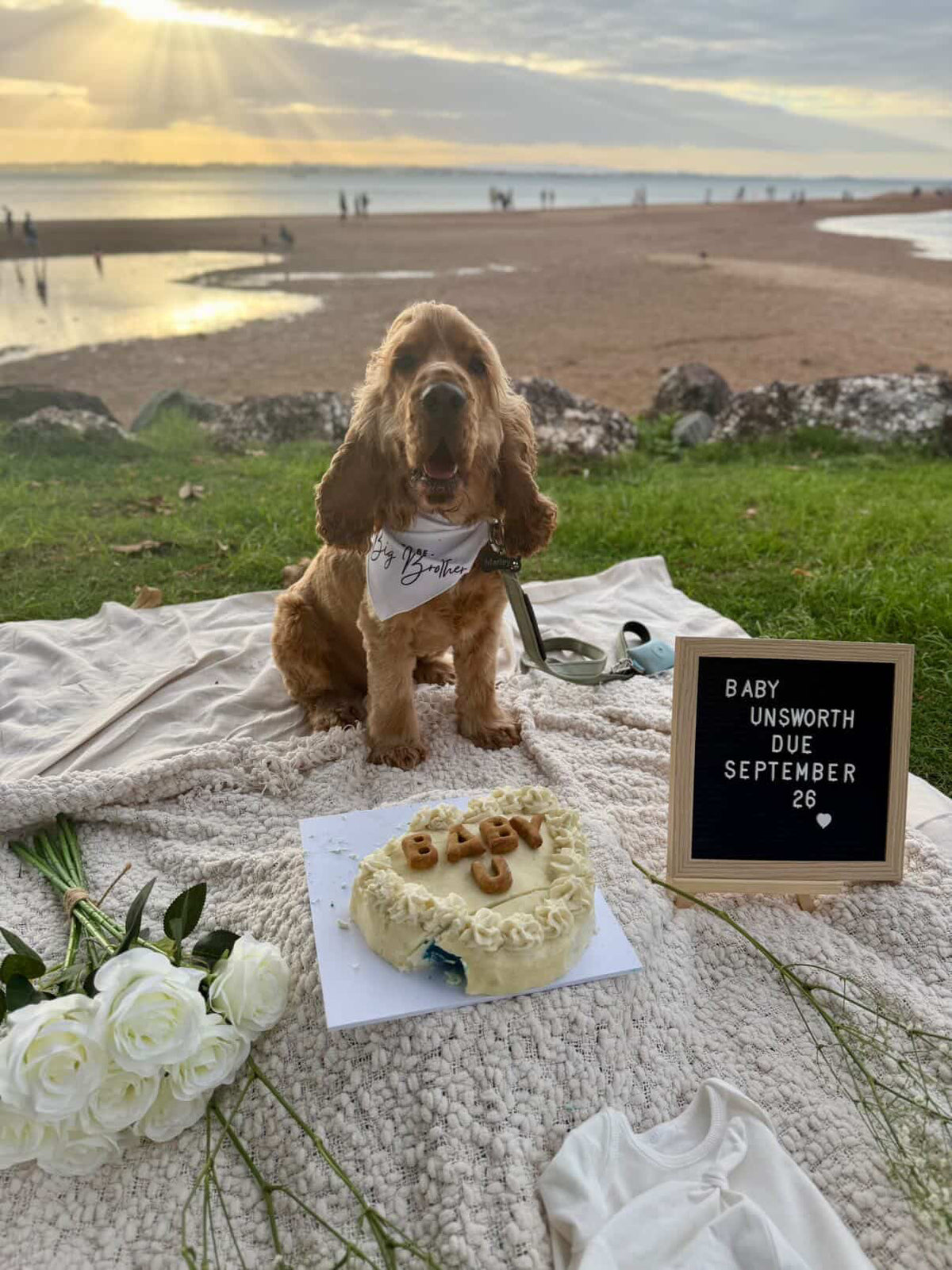 Gender Reveal Cake